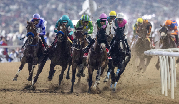 A Closer Look at the Dubai World Cup