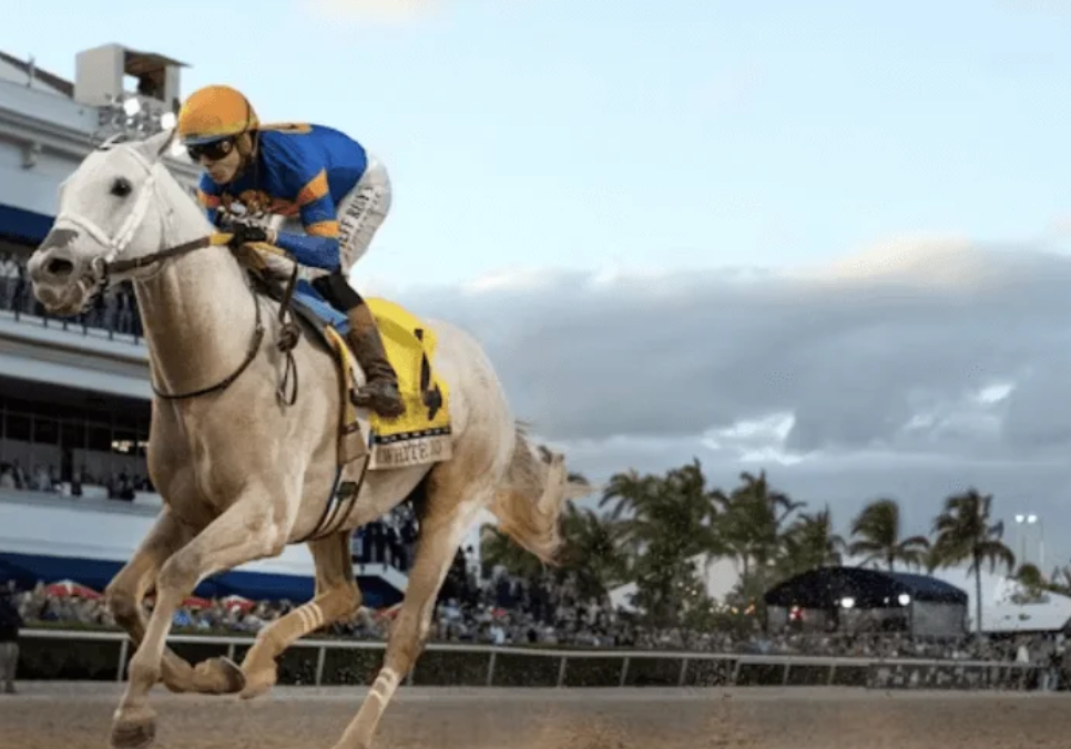 cplemaire || cplemaire couplé du jour || cplemaire la voyeuse || cplemaire 18 || cplemaire pmu || cplemaire turf